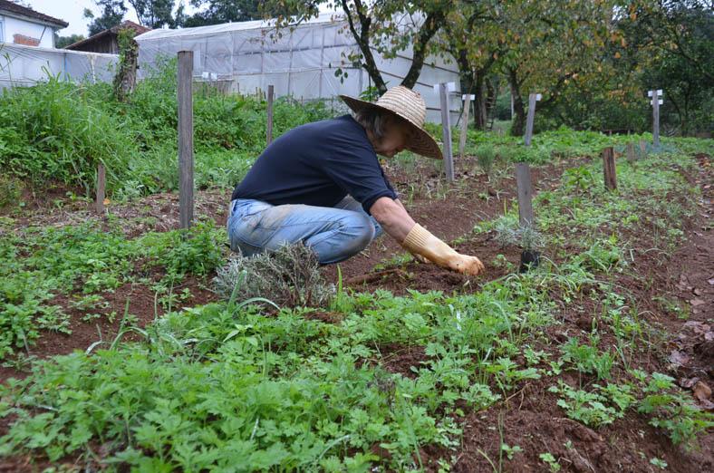 1ª Ecofest Morro Reuter será no dia 2 de junho