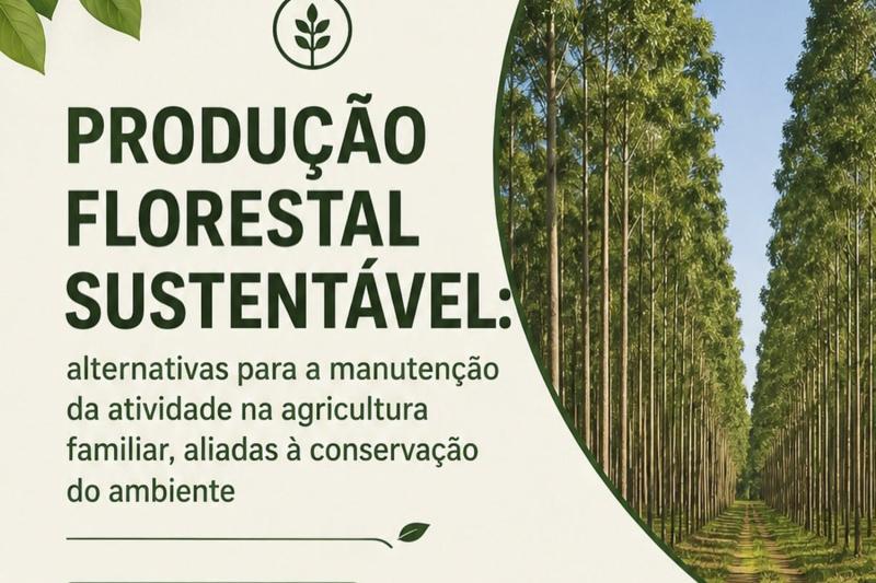 (Imagem: Divulgação)