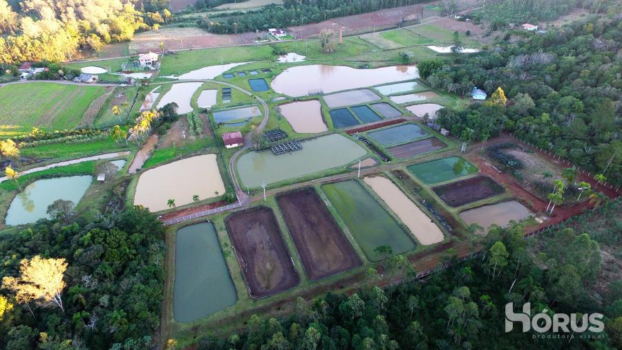Piscicultura Águas da Olaria surgiu em 2007