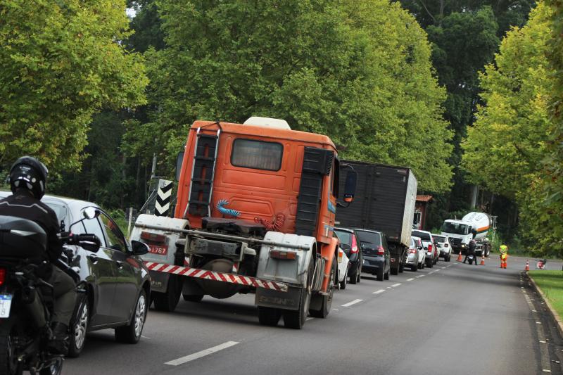 (Foto: Octacílio Freitas Dias)