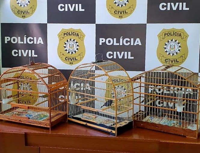 (Foto: Polícia Civil)