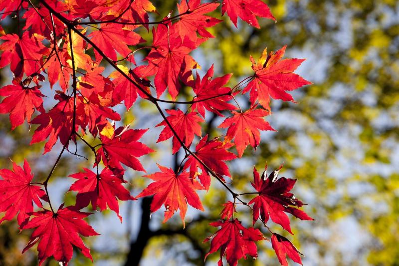 Fonte: Zero Hora / Foto: Pixabay