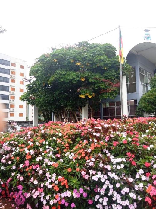 Prefeitura