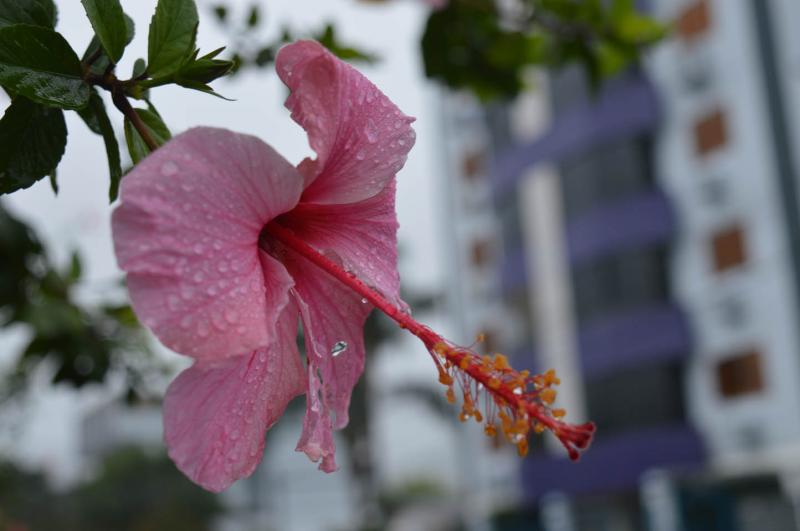 Semana vai terminando com chuva e frio