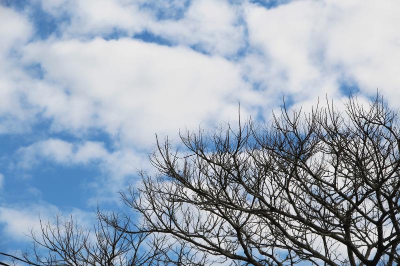 Previsão do tempo: o que esperar do clima em junho no Rio Grande do Sul