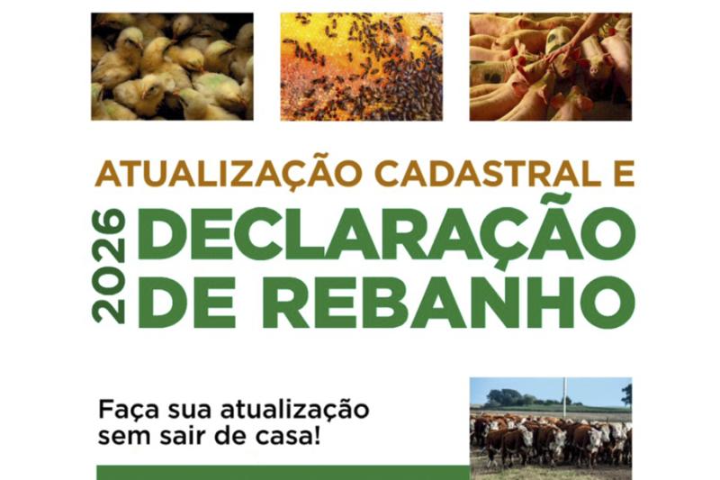 (Imagem: Divulgação)