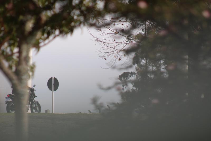 (Foto: Octacílio Freitas Dias)