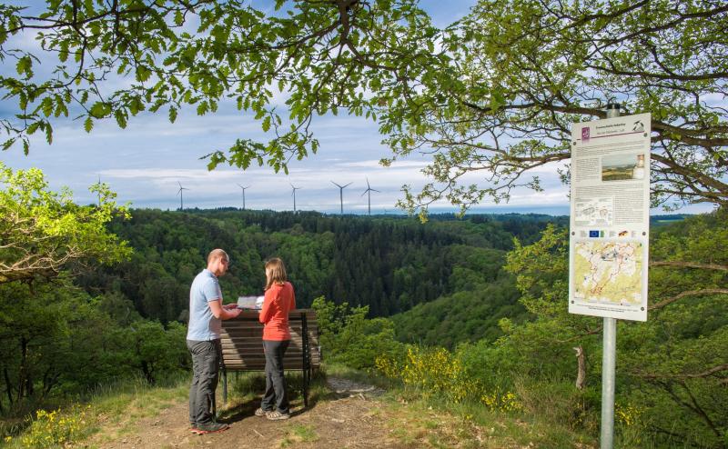 Rota Romântica promove viagem para caminhadas na Alemanha