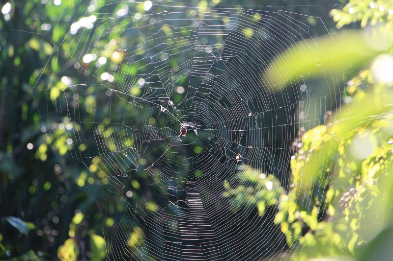 Fonte: GZH / Foto: JDI