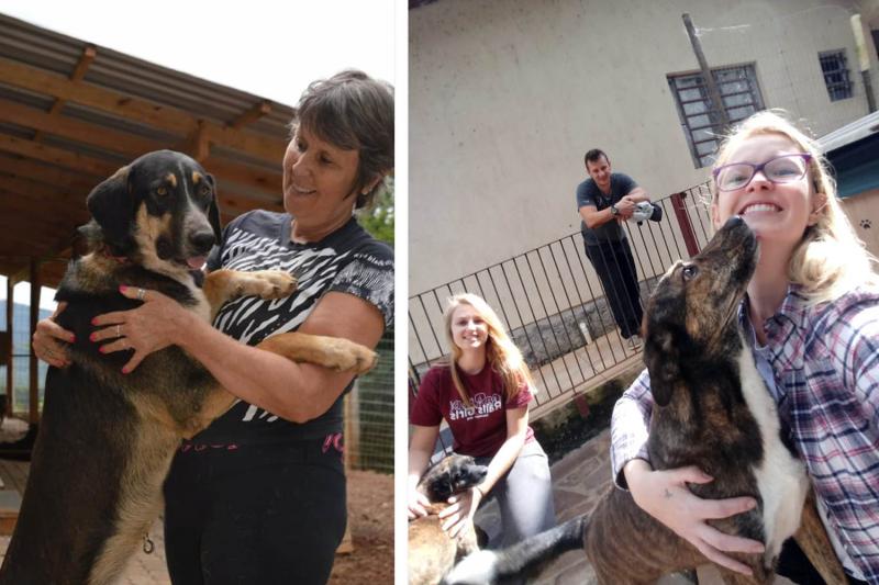 Sara Braun (à esquerda) preside a Associação Amigos dos Animais