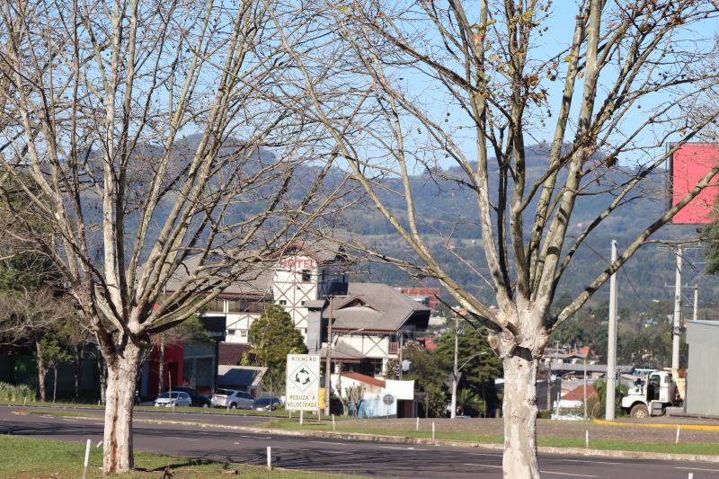 (Foto: Octacílio Freitas Dias)