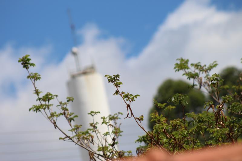 (Foto: Octacílio Freitas Dias)