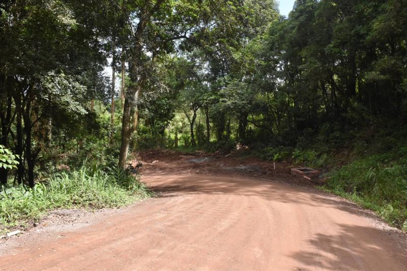 (Foto: Divulgação / PMDI)