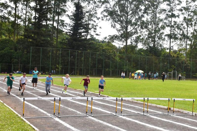 (Foto: Divulgação / Desporto)