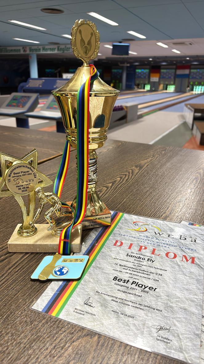 Troféus e diploma conquistados por Sandro