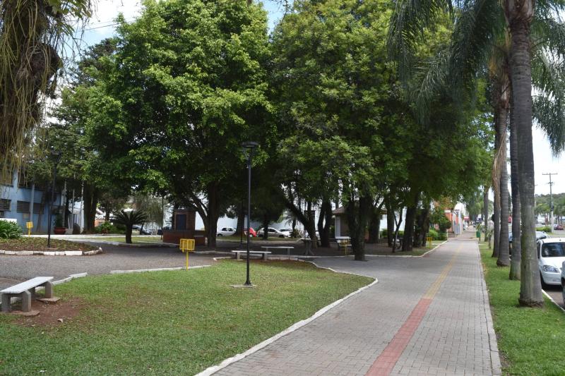 (Foto: Divulgação / PMDI)