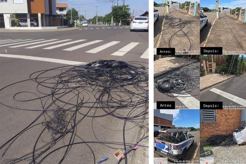 (Fotos: Divulgação)