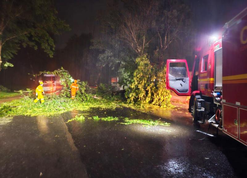 Bombeiros atenderam três quedas de árvores na BR-116 (Foto: Corpo de Bombeiros / Divulgação)