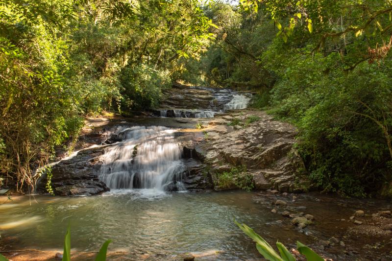 Documentário traz belas imagens do Arroio Feitoria e seus afluentes