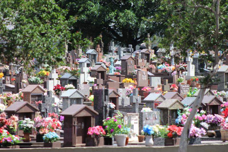 (Foto: Octacílio Freitas Dias)